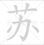 苏炳添马德里竞技后续来了(马德里竞技队官方网站)|PG电子体育登录入口